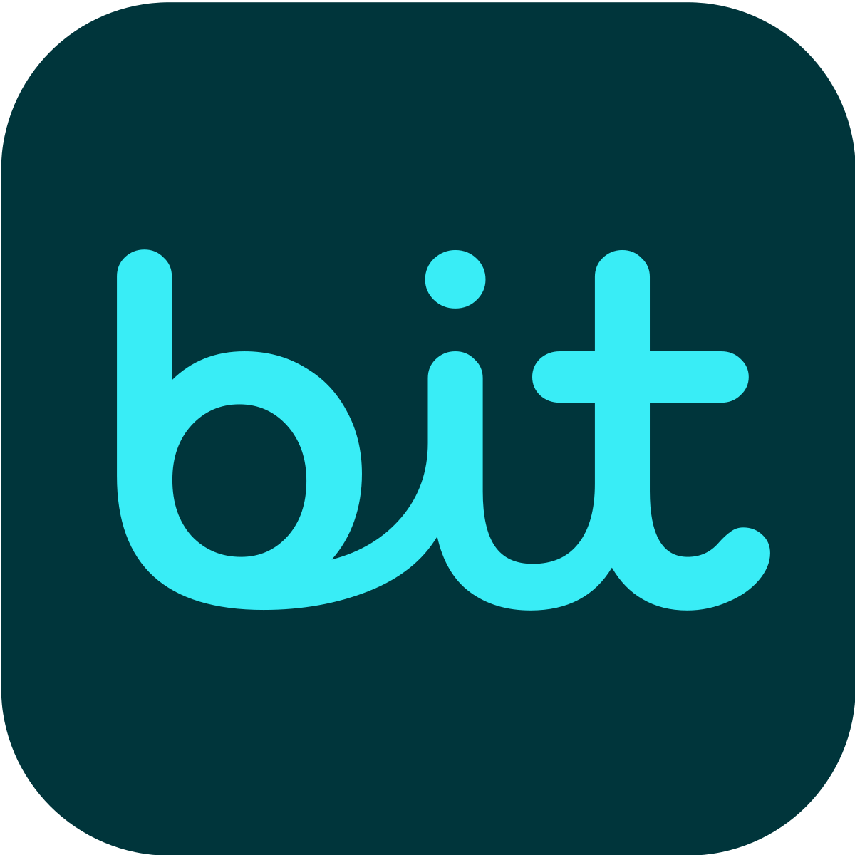 Bit Payment לוגו